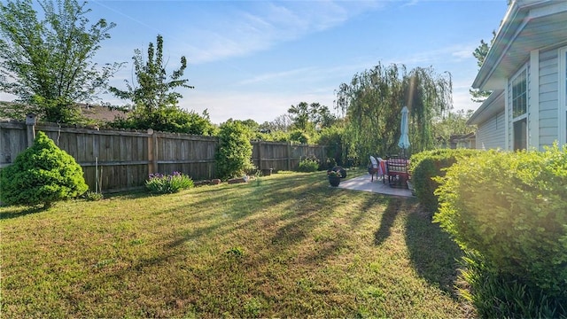 view of yard featuring a fenced backyard and a patio