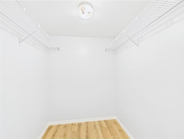 walk in closet with light wood-type flooring