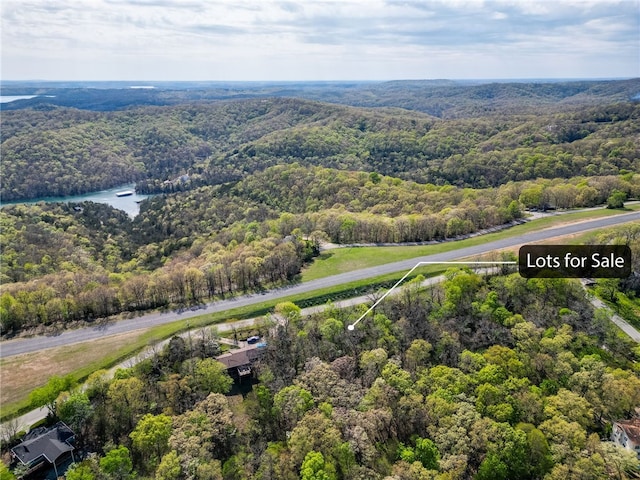 L17 E Airport Dr, Garfield, AR 72732