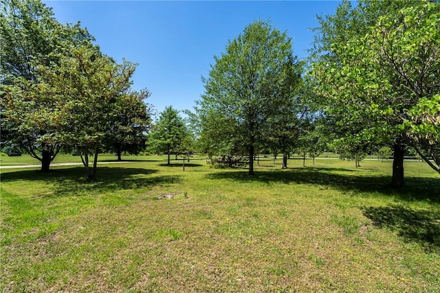 17444 16th Hwy, Siloam Springs, AR 72761 - view of grassy yard