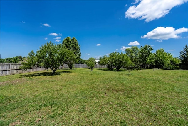 17444 16th Hwy, Siloam Springs, AR 72761 - view of yard