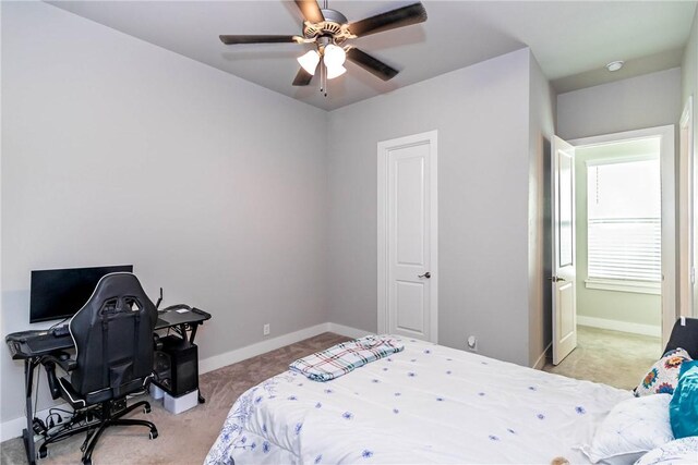 146 E S St, Fayetteville, AR 72701 - photo 12