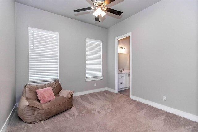 146 E S St, Fayetteville, AR 72701 - photo 25