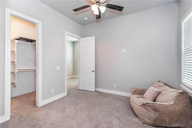 146 E S St, Fayetteville, AR 72701 - photo 26