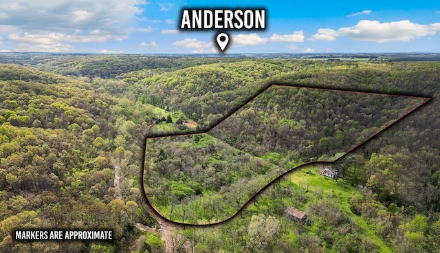 TBD Stogdon Hollow Rd, Anderson, MO 64831
