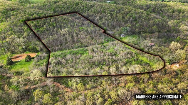 TBD Stogdon Hollow Rd, Anderson, MO 64831
