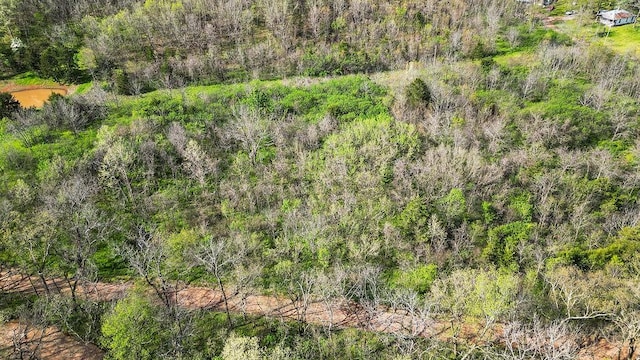 TBD Stogdon Hollow Rd, Anderson, MO 64831