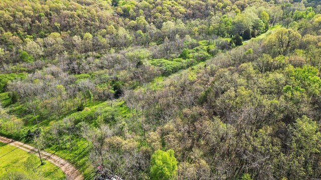 TBD Stogdon Hollow Rd, Anderson, MO 64831