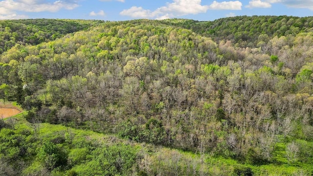 TBD Stogdon Hollow Rd, Anderson, MO 64831