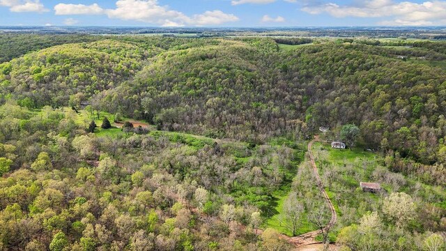 TBD Stogdon Hollow Rd, Anderson, MO 64831