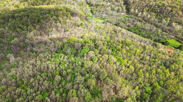 TBD Stogdon Hollow Rd, Anderson, MO 64831