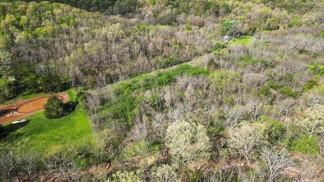 TBD Stogdon Hollow Rd, Anderson, MO 64831