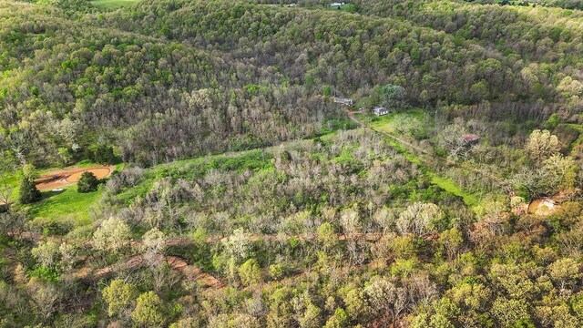 TBD Stogdon Hollow Rd, Anderson, MO 64831