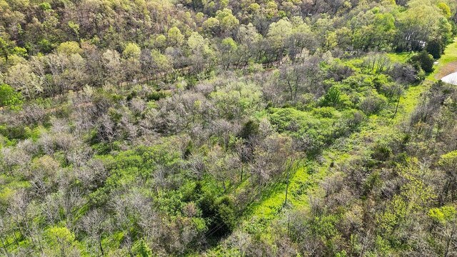 TBD Stogdon Hollow Rd, Anderson, MO 64831