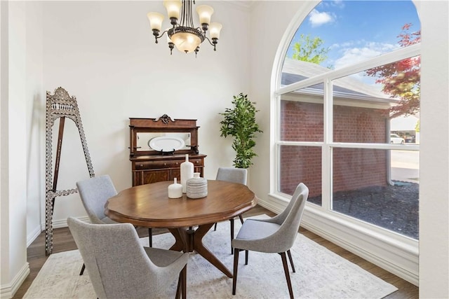 dining area with a chandelier, wood finished floors, a healthy amount of sunlight, and baseboards