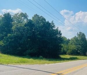 Skyline Dr, Diamond City, AR 72644 - photo 2