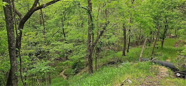 view of local wilderness with a view of trees