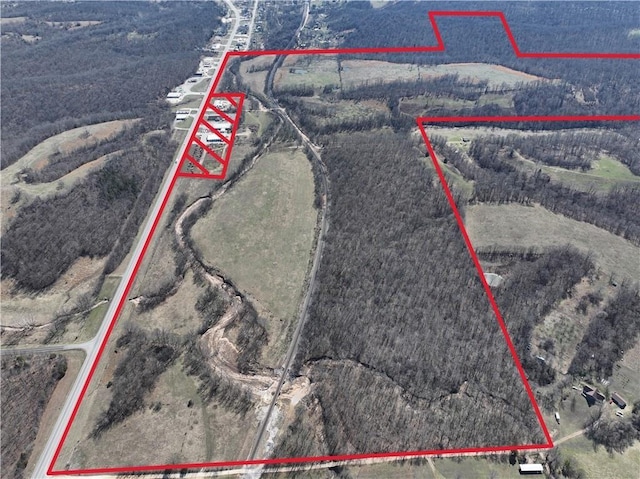 240ACRES N Business 71 Hwy, Anderson, MO 64831 - photo 1