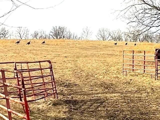 240ACRES N Business 71 Hwy, Anderson, MO 64831 - photo 2