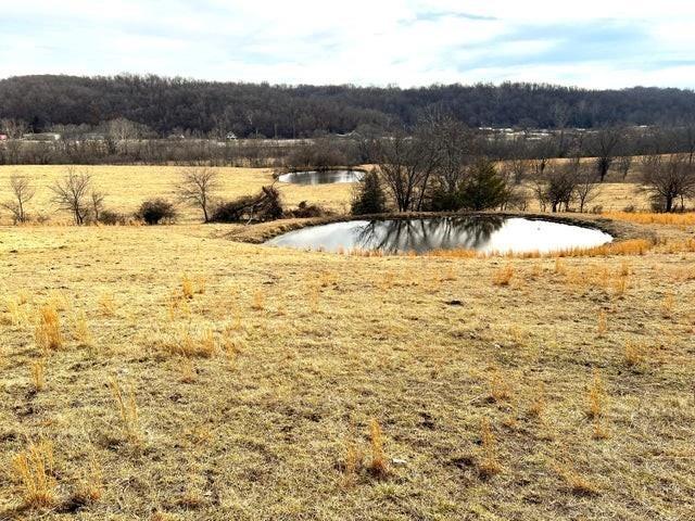 240ACRES N Business 71 Hwy, Anderson, MO 64831 - photo 6