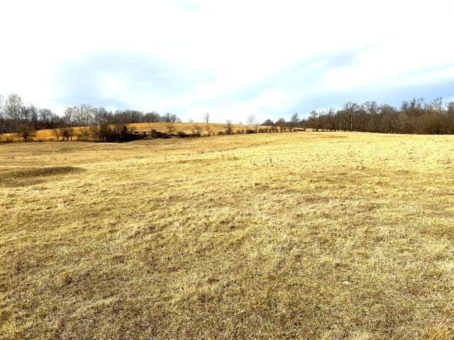240ACRES N Business 71 Hwy, Anderson, MO 64831 - photo 9
