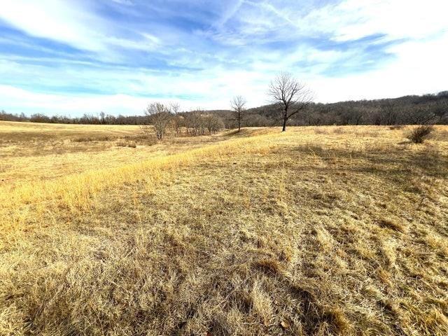 240ACRES N Business 71 Hwy, Anderson, MO 64831 - photo 10