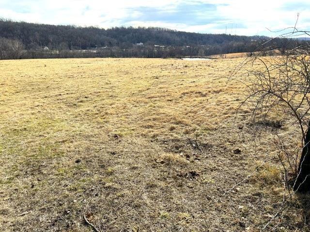 240ACRES N Business 71 Hwy, Anderson, MO 64831 - photo 15