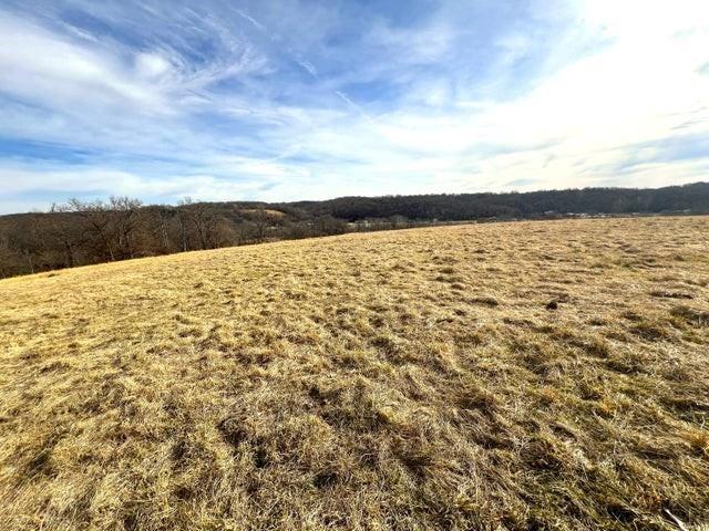 240ACRES N Business 71 Hwy, Anderson, MO 64831 - photo 18