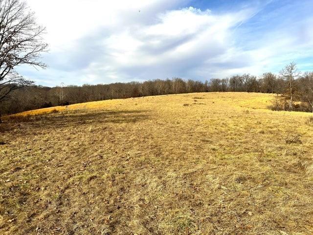 240ACRES N Business 71 Hwy, Anderson, MO 64831 - photo 21