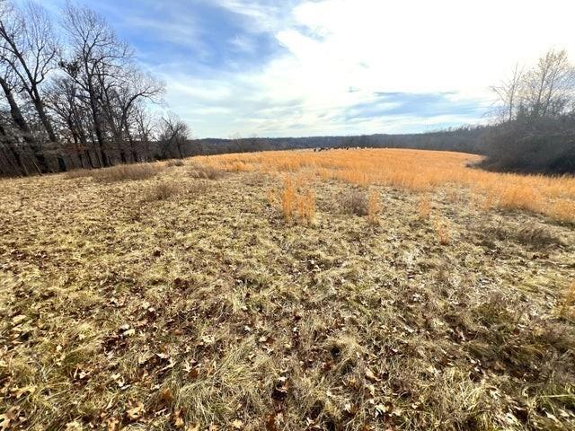 240ACRES N Business 71 Hwy, Anderson, MO 64831 - photo 24