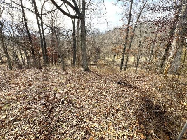 240ACRES N Business 71 Hwy, Anderson, MO 64831 - photo 26