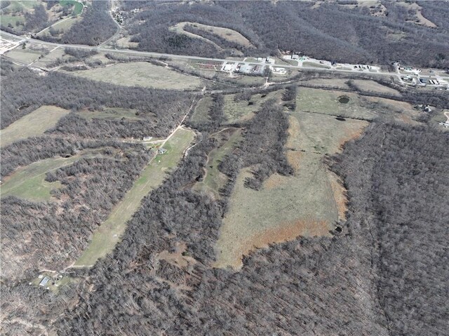 240ACRES N Business 71 Hwy, Anderson, MO 64831 - photo 27