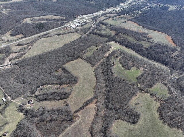 240ACRES N Business 71 Hwy, Anderson, MO 64831 - photo 38