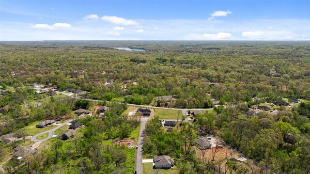 9 Burnmouth Pl, Bella Vista, AR 72715 - photo 45