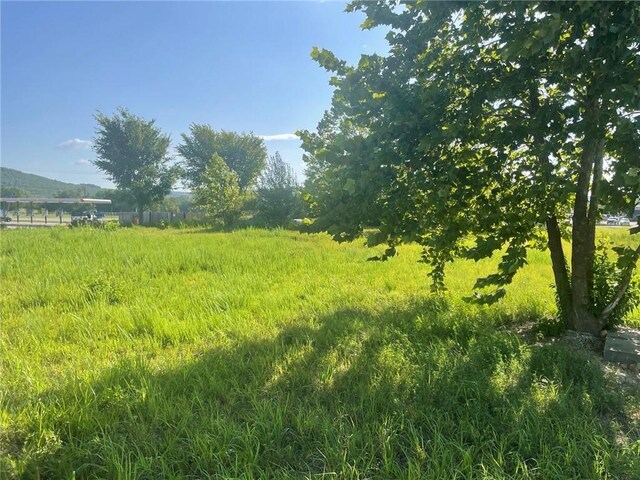 2119 N Center St, Fayetteville, AR 72701