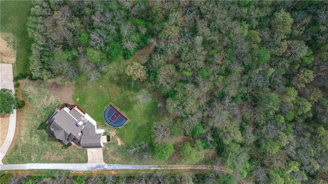 drone / aerial view
