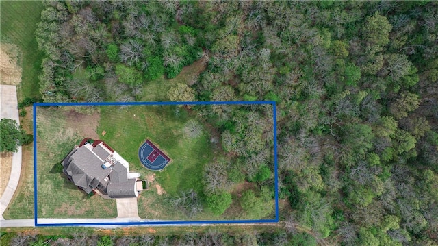 drone / aerial view