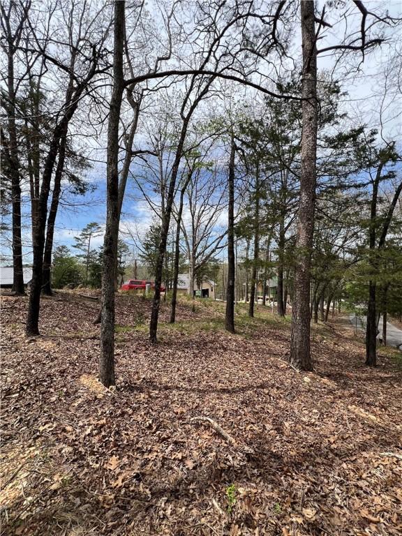 6 Corley Loop, Eureka Springs, AR 72632