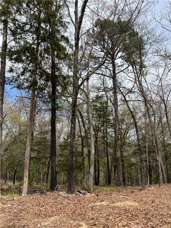 6 Corley Loop, Eureka Springs, AR 72632