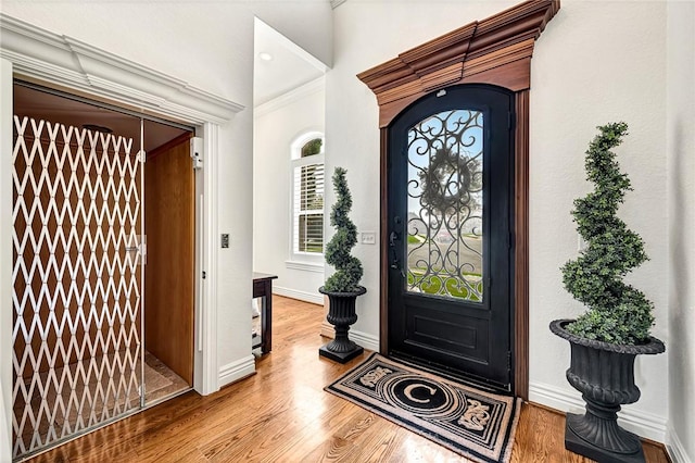 5309 S Promontory Ct, Rogers, AR 72758 - entryway featuring wood finished floors and baseboards