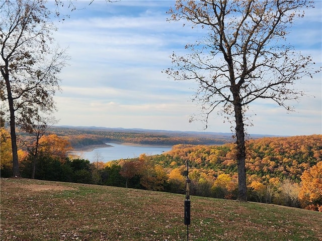 property view of water featuring a view of trees