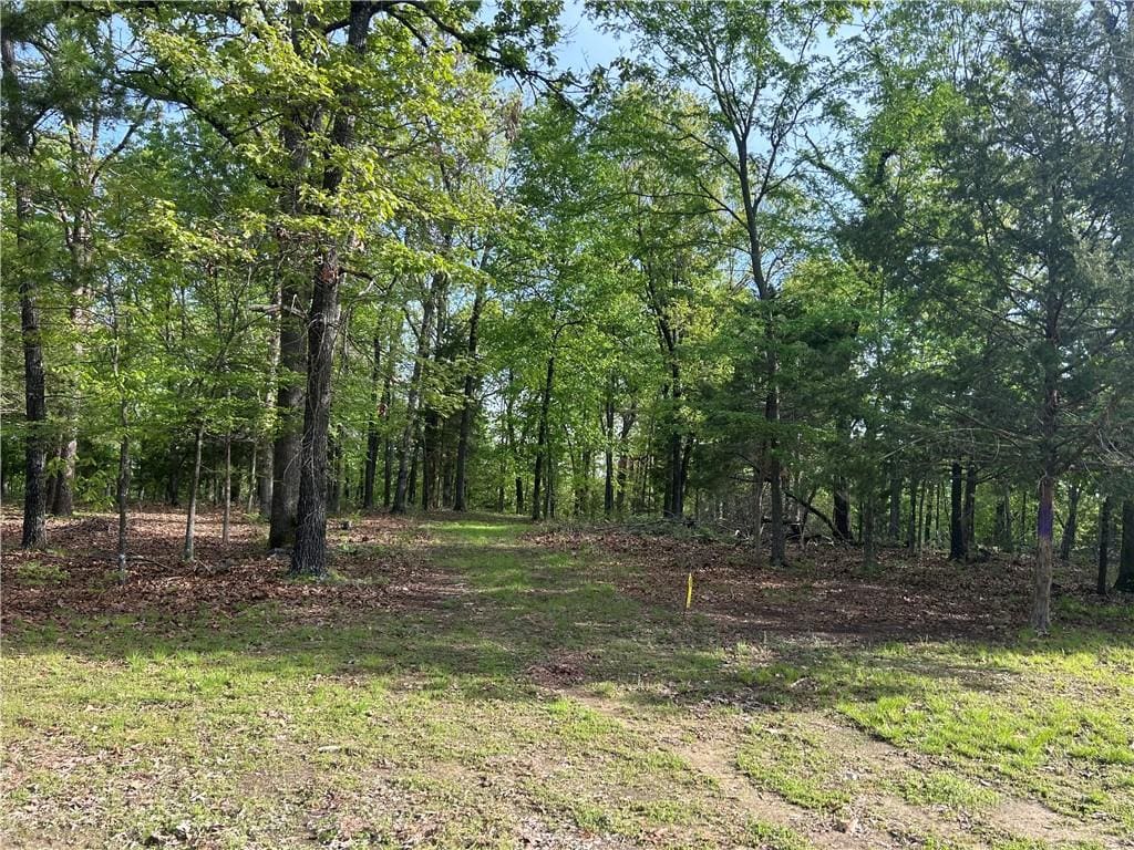 001-09675-000 Eagles Ln, Peel, AR 72668