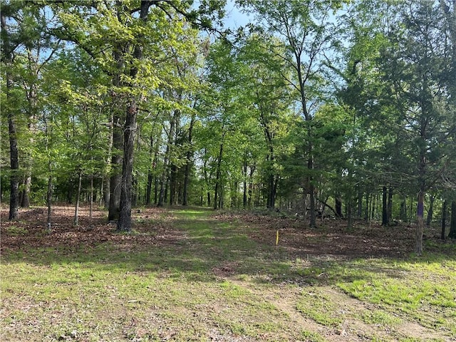 001-09675-000 Eagles Ln, Peel, AR 72668