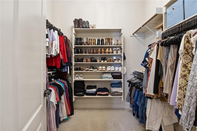 walk in closet with carpet floors