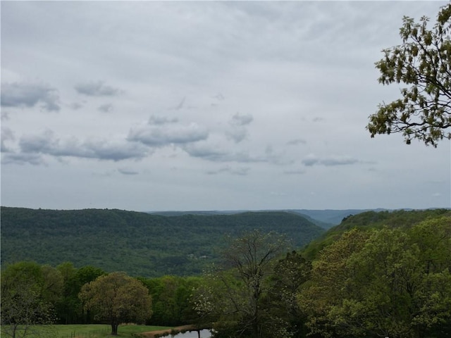 property view of mountains with a wooded view