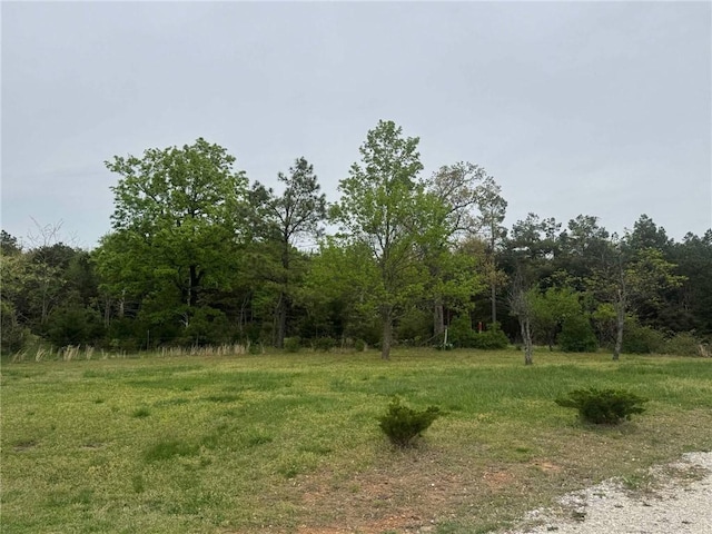 view of local wilderness with a wooded view