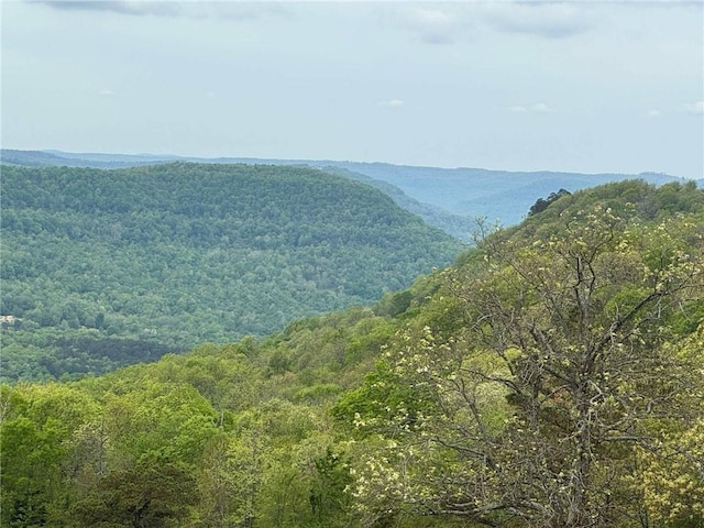 property view of mountains with a forest view