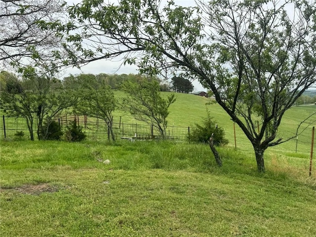 view of local wilderness featuring a rural view
