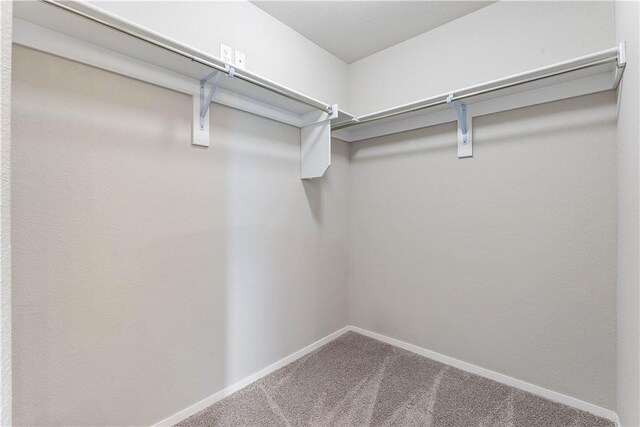 walk in closet with carpet floors