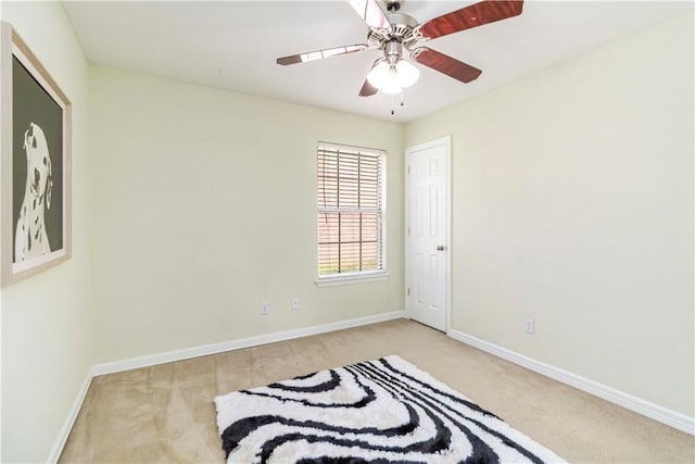 4389 Holiday Dr, Fayetteville, AR 72701 - photo 16